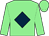Light green, dark blue diamond, light green cap (Mrs Paula Murphy)