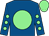 Royal blue, light green disc, royal blue sleeves, light green spots, light green cap (Woz 5 Now 4)