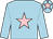 Light blue, pink star, light blue cap, pink star (Mrs B E Walsh)