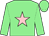 Light green, pink star, light green cap (Mr T J Topping)