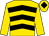 Gold, black chevrons, gold sleeves, black diamond on gold cap (Mr A & Mrs P Hurn)