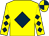 Yellow, dark blue diamond, diamonds on sleeves, quartered cap (West Coast Racing Partnership & Bewley)