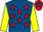 Royal blue, red stars, yellow sleeves, red cap, royal blue star (Mr Leslie Marshall)