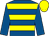 Royal blue, yellow hoops, royal blue sleeves, yellow cap (Mr D Eiffe)