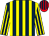 Dark blue & yellow stripes, yellow & dark blue striped sleeves, red & dark blue striped cap (Mrs S M Rice)