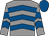 Grey, royal blue chevrons, royal blue cap (Mr Brian Wilson)
