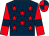 Dark blue, red stars, red sleeves, dark blue armlets, quartered cap (Mr A R Parrish)