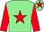 Light green, red star, sleeves and star on cap (Mr R E Anderson)