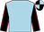 Light blue, black sleeves, red seams, black and light blue quartered cap (Michael And Gerry Worcester)