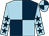 Light blue and dark blue (quartered), light blue sleeves, dark blue stars (Mr & Mrs W Brogan-higgins & Gryffindo)