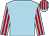 Light blue, red striped sleeves and cap (Mrs J M Greed)