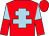 Red, light blue cross of lorraine, light blue and red halved sleeves (Mrs Sarah Pearson)