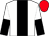 White, black stripe, halved sleeves, red cap (Bewley, M Robson, W Rayment & L Davids)