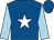 Royal blue, white star, light blue sleeves (Mr H Burns)