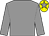 Grey, yellow cap, grey star (Armada Racing Partnership)