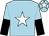Light blue, white star, light blue and black halved sleeves, light blue cap, white star (Mr Robert McLachlan)