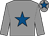 Grey, royal blue star and star on cap (Darren & Annaley Yates)