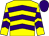 Yellow & purple chevrons, purple cap (Forty Four Syndicate)