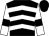 Black, white chevrons, white sleeves, black armlets, black cap (Mr William Garrett)