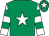 Emerald green, white star, white and emerald green hooped sleeves, emerald green cap, white star (Mr M Roe & Mr A Fear)