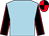 Light blue, black sleeves, red seams, red and black quartered cap (Mr Michael Worcester)