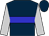 Dark blue, blue hoop, silver sleeves (Praz Racing Stable, Delahoussaye, Eddie And Dye, Michael)