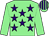 Light green, purple stars, light green sleeves, striped cap (Thomas Cox & Ralph Kelly & P Scully)