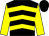 Black & yellow chevrons, yellow sleeves, black cap (W F Richardson)