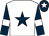 White, dark blue star, dark blue sleeves, white armlets and star on dark blue cap (Dyson Racing & Mr D Powell)