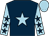 Dark blue, light blue star, light blue sleeves, dark blue stars, light blue cap (T Dewhirst, Mrs L Folwell & S Hull)