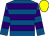 Royal blue & purple hoops, yellow cap (Noel Hayes)