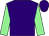 Purple, light green sleeves (Mac Tomb Raiders)