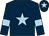Dark blue, light blue star, light blue armlet, light blue star on cap (Stone Circle Syndicate)