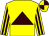 Yellow, brown triangle, brown stripes on sleeves, yellow and brown quartered cap (Lambholm Stable)
