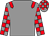 Grey, red epaulets, checked sleeves and cap (Northgate Grey)