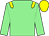 Light green, yellow epaulets, yellow cap (Tyre Hill Farm Ltd)