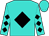 Turquoise, black diamond, black diamonds on sleeves, turquoise cap (Garrett, Jim, Williams, James T , Stark, Curt And Parker, Bruce)