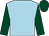 Light blue, dark green sleeves and cap (Mr W G C Miller)