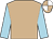 Tan, light blue sleeves, tan and white quartered cap (Mrs D Joly & Mr David F Powell)