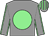 Grey, light green disc, light green seams on sleeves, striped cap (Ms Orla O'Connor)