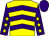 Yellow, purple chevrons, purple sleeves, yellow stars, purple cap (Mrs Fiona Young)