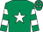 Emerald green, white star, hooped sleeves and stars on cap (Mr J P Cavanagh & Mr R C C Viller)