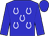 Blue, white horseshoes (Timothy Maxey)