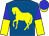 Royal blue, yellow horse, blue and yellow halved sleeves, blue cap, yellow visor (M And A Racing Ltd)