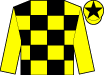 Yellow & black check, yellow sleeves, black star on cap (Mrs J Donnelly)
