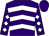 Purple, white chevrons, white diamonds on sleeves (Judy Anderson)