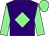 Purple, light green diamond & sleeves, light green cap (John Gildea)