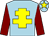Light blue, yellow cross of lorraine, maroon sleeves, light blue cap, yellow star (Mr L & Mrs J Waring And Mr S Reeves)