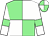 Light green and white (quartered), white sleeves, light green armlets (Mr Paul Cooper)