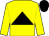 Yellow, black triangle, black cap (Michael Grossman)